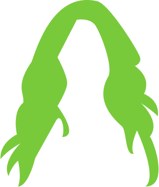 Hair Care